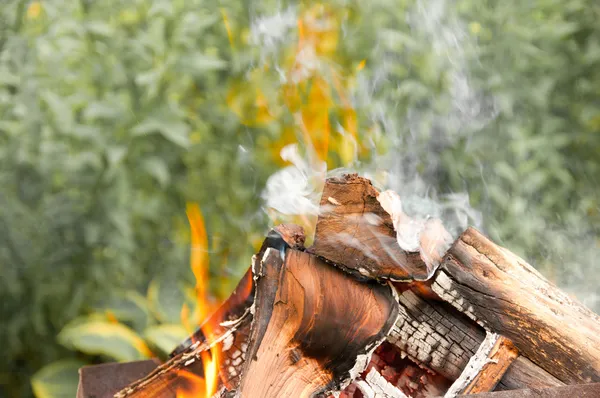 Hoguera: leña ardiente con llamas y humo — Foto de Stock