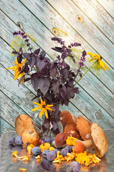 Basil Dille en kegel bloemen boeket Stilleven met paddestoelen — Stockfoto