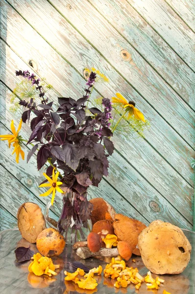 Basilicum, dille en kegel bloemen boeket Stilleven met paddestoelen — Stockfoto