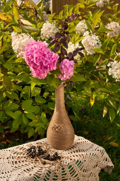 Still life with pink hydrangea in a vase and white hydrangea plant as a background — Stock Photo, Image