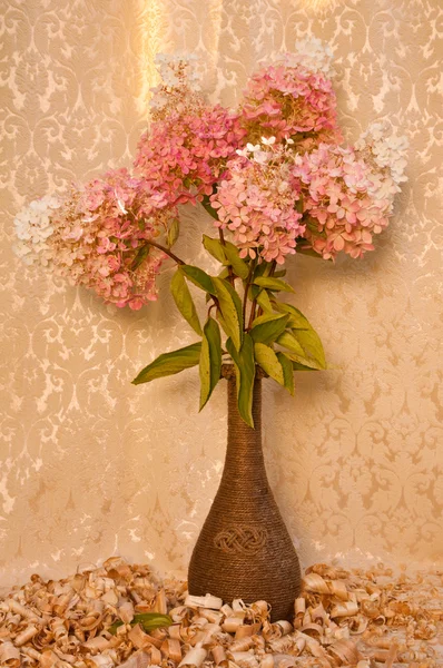 Ramo de hortensias blanco y rosa bodegón —  Fotos de Stock