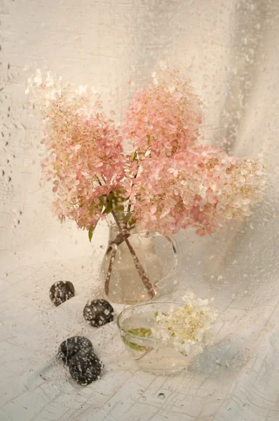 Våt Stilleben med rosa hortensia bukett genom våta glas — Stockfoto