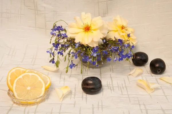 Natura morta con rose giallo limone e gypsophila blu e prugna — Foto Stock