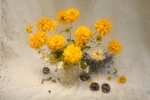 Nasses Stillleben gelber Blüten durch nasses Glas — Stockfoto