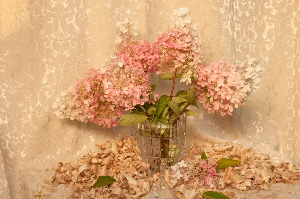 Stilleven met boeket Roze hortensia — Stockfoto