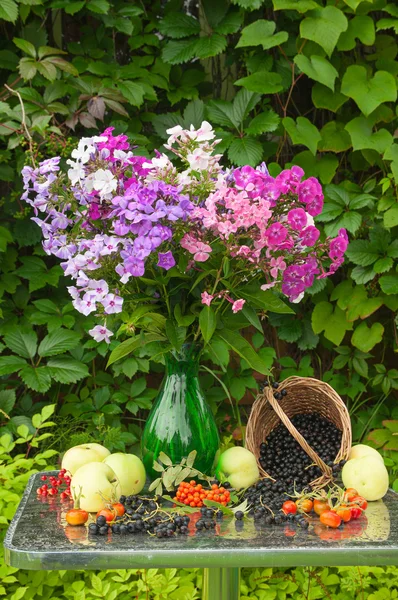 플 록스 꽃다발, 사과, 딸기와 정 — 스톡 사진