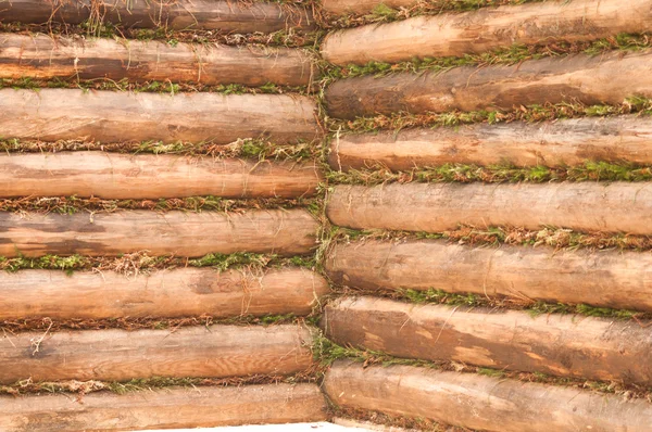 Hörnet av trä loggar väggen — Stockfoto