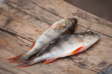 Masada iki çiğ balık