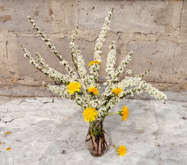 Deutzia and dandelion still life bouquet — Stock Photo, Image