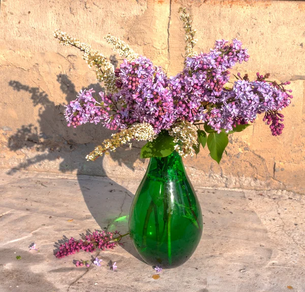 Lila och deutzia stilleben bukett — Stockfoto