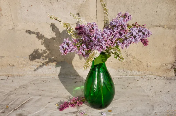 Lilac and deutzia still life bouquet — Stock Photo, Image