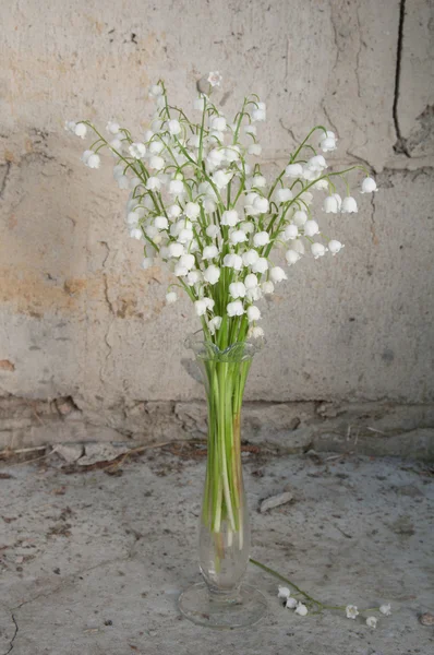 Zátiší kytice s Konvalinka — Stock fotografie