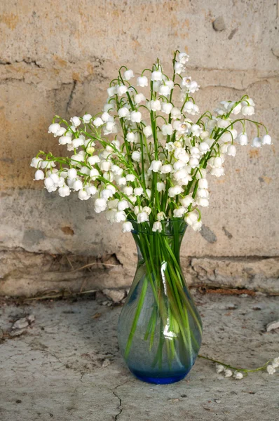 Lily vadi ile natürmort buket — Stok fotoğraf