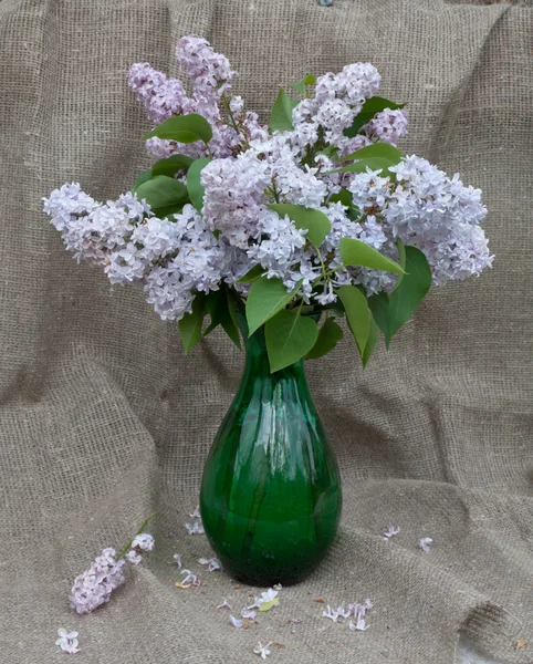 Still life bouquet with lilac — Stock Photo, Image