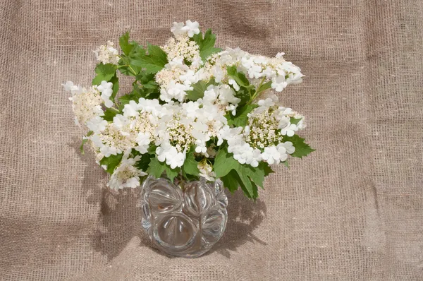 Still life bouquet — Stock Photo, Image