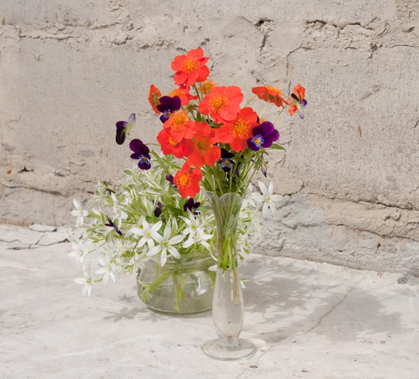 Still life bouquet — Stock Photo, Image