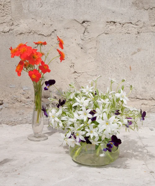 Still life bouquet — Stock Photo, Image