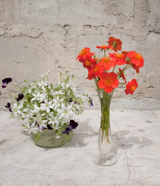 Bouquet nature morte — Photo