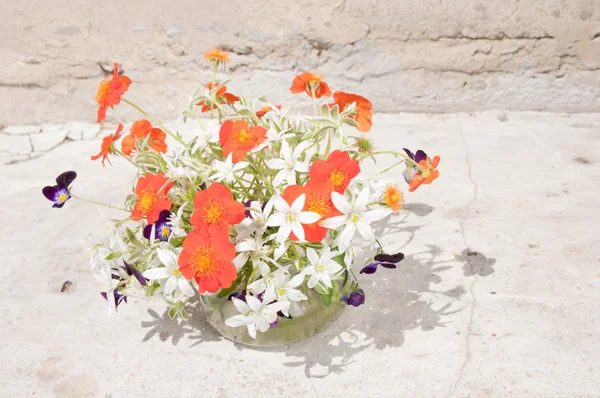 Still life bouquet — Stock Photo, Image