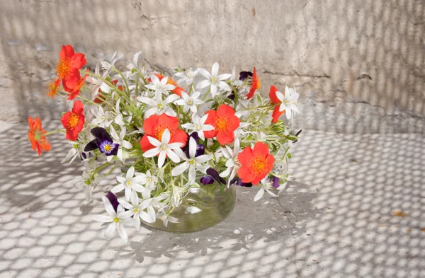 Still life bouquet — Stock Photo, Image