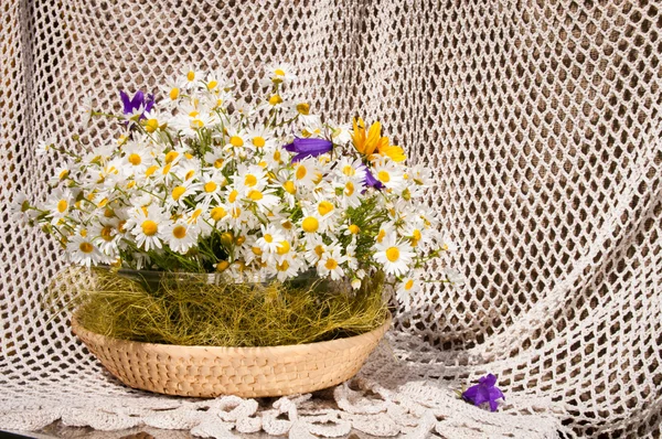 Natura morta bouquet di camomille — Foto Stock