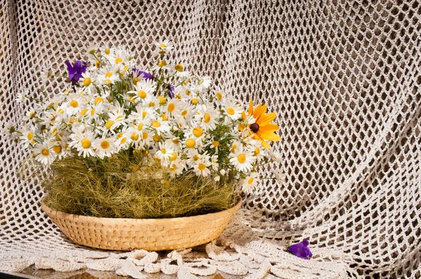 Still life bouquet of chamomiles — Stock Photo, Image