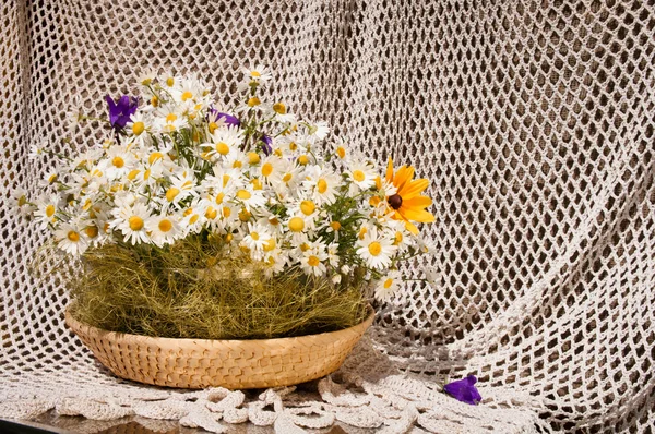 Stillleben Bouquet von Kamillen — Stockfoto