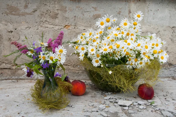 Stillleben Bouquet von Kamillen — Stockfoto