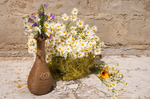 Natura morta bouquet di camomille — Foto Stock