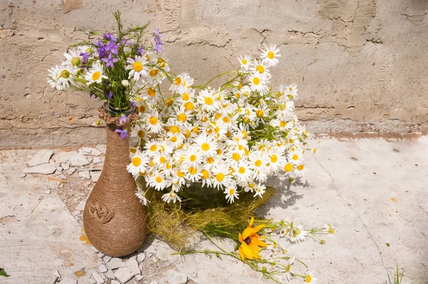 Natürmort buket chamomiles — Stok fotoğraf