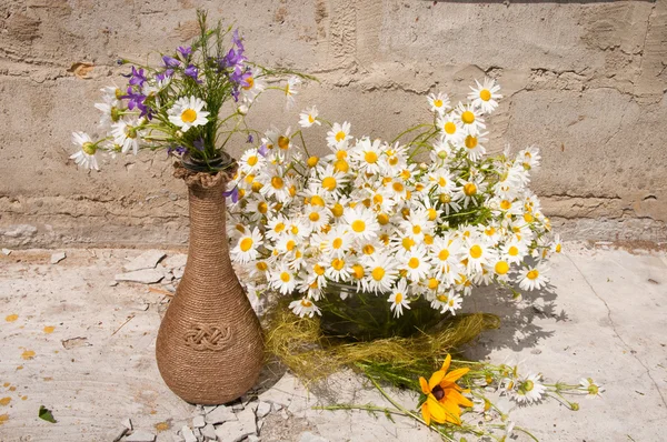 Stillleben Bouquet von Kamillen — Stockfoto