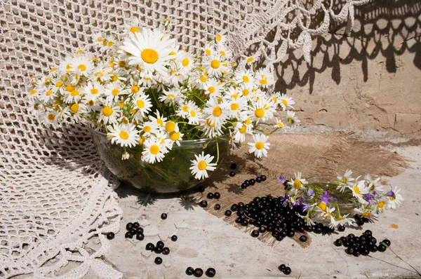 Natura morta bouquet con camomille — Foto Stock