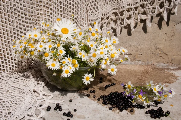 Natura morta bouquet con camomille — Foto Stock