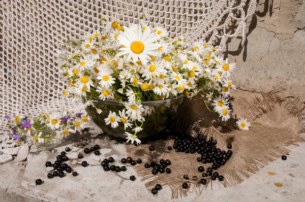 与 chamomiles 的静物花束 — 图库照片