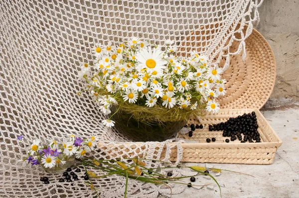 Ramo de naturaleza muerta con manzanillas —  Fotos de Stock