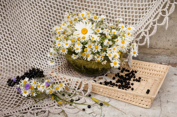 Natura morta bouquet con camomille — Foto Stock