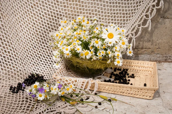 Natura morta bouquet con camomille — Foto Stock