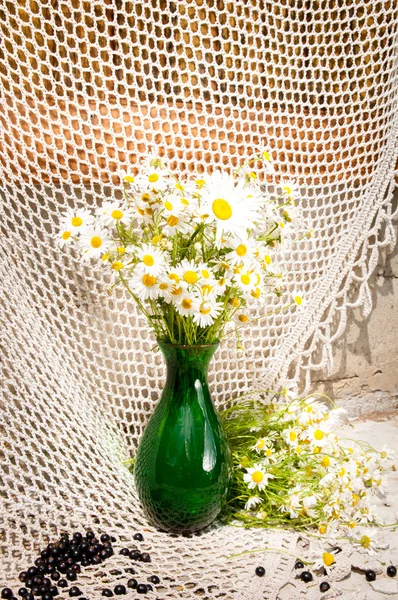Chamomiles in a green vase still life — Stock Photo, Image