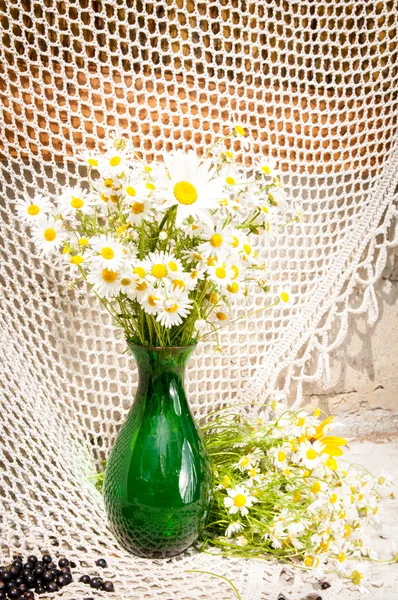 Chamomiles in a green vase still life — Stock Photo, Image