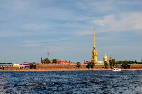 Букет ромашки на заводе желтого хоста — стоковое фото