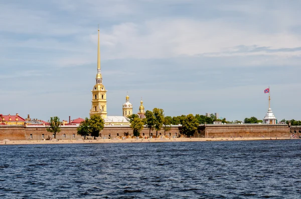 Букет ромашки на заводе желтого хоста — стоковое фото