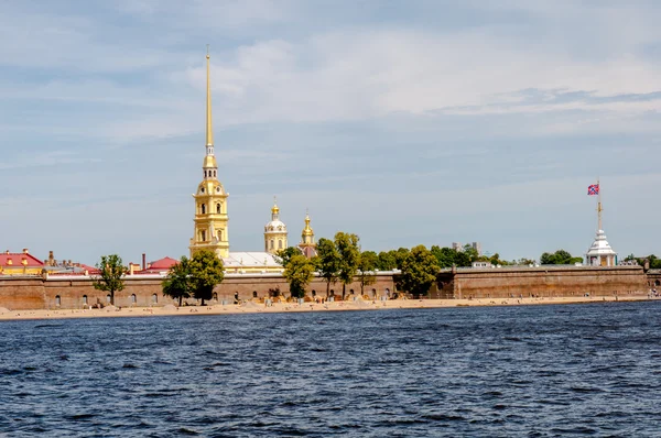 Букет ромашки на заводе желтого хоста — стоковое фото