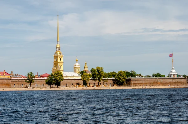 Букет ромашки на заводе желтого хоста — стоковое фото