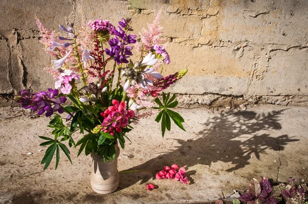 Still life bouquet with lupinus — Stock Photo, Image