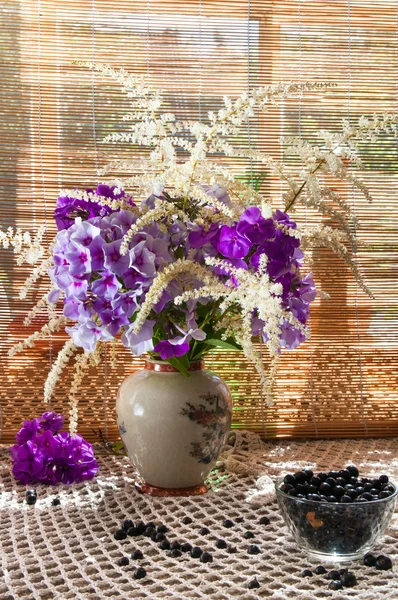 Phlox bouquet still life — Stock Photo, Image