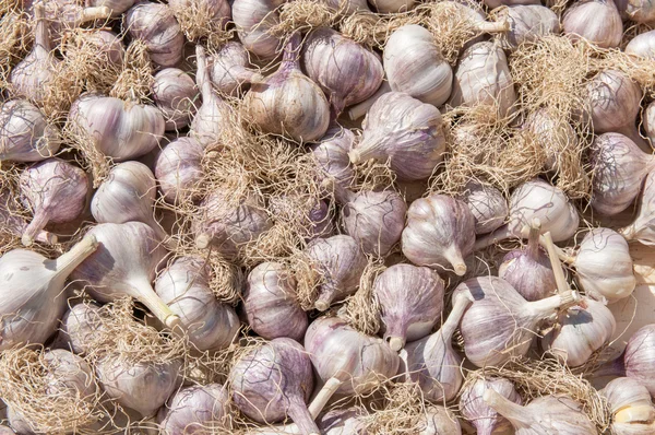 Syrový česnek, kterým se jako pozadí — Stock fotografie