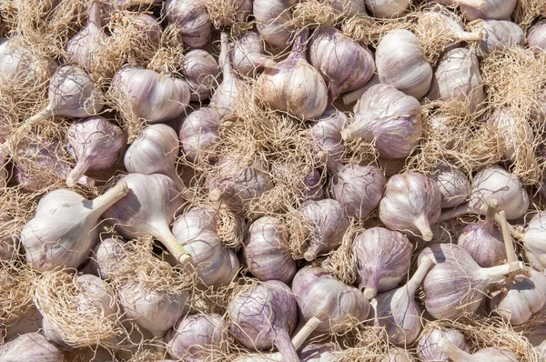 Syrový česnek, kterým se jako pozadí — Stock fotografie