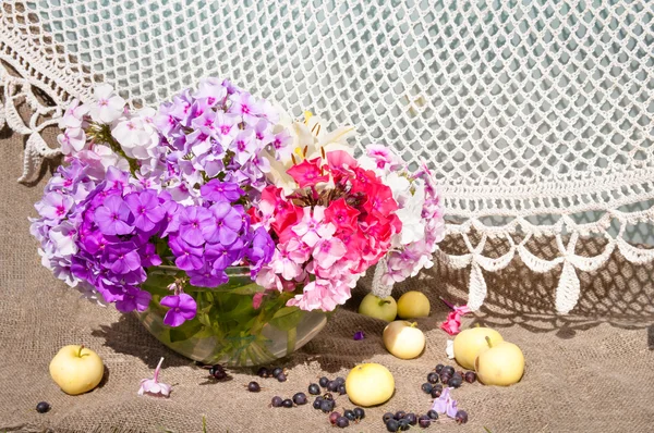 Phloxstrauß in einer Vase mit Äpfeln und schwarzen Beeren — Stockfoto