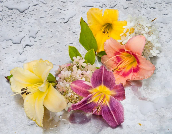 Flores en un día lluvioso —  Fotos de Stock