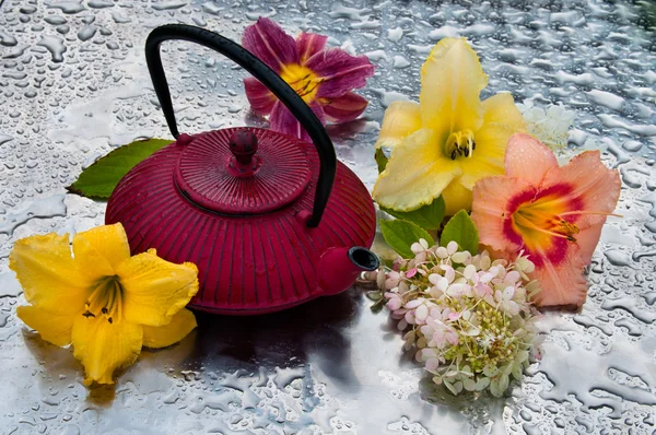 Ceremonia herbaty: dzbanek do herbaty z kwiatami na deszczowy dzień — Zdjęcie stockowe